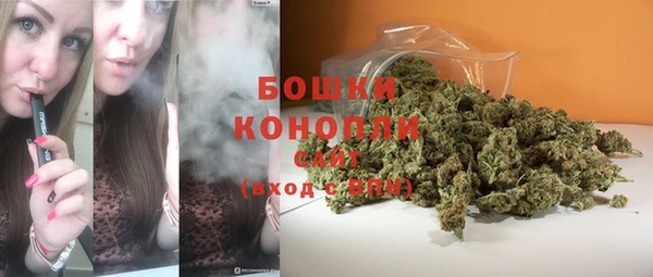 spice Пестово