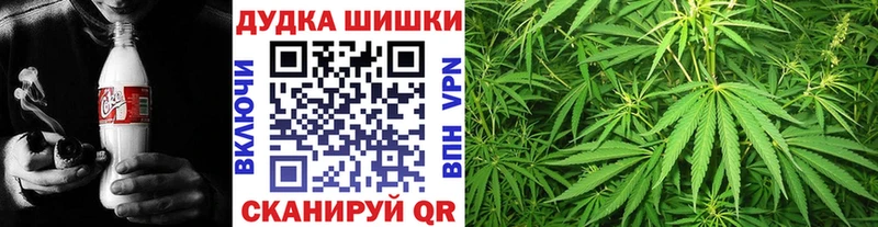 Купить закладки  Камызяк  Марихуана VHQ 